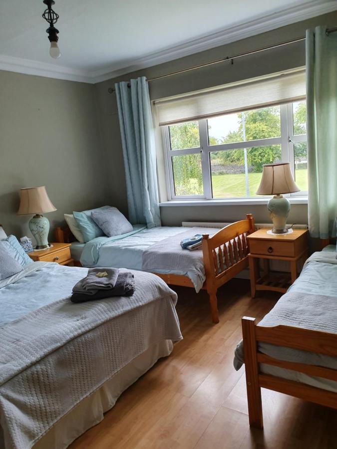 Rheban Bnb Athy Exterior photo